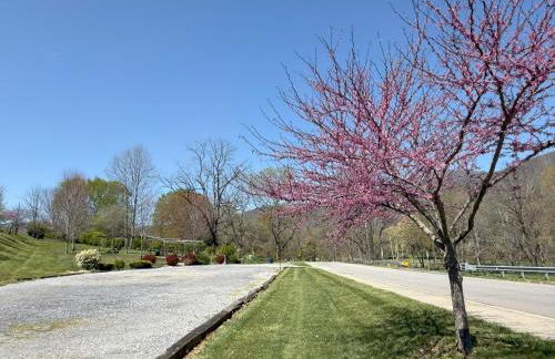 Cozy Bear Cabin-Stunning Mountain View, Dogs welcome with Pet Rate - Foto 15