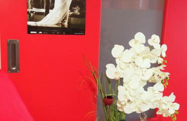 Al Cavaliere - Foto 5