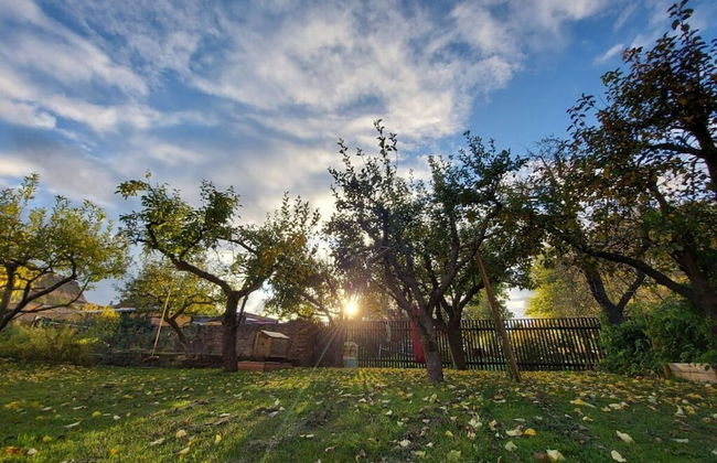 Zonnehof in het Geiseltal - Foto 39