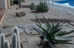 Casa Logos Stintino - Private pool - Foto 2