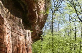 Le Gîte du Fort - Foto 30
