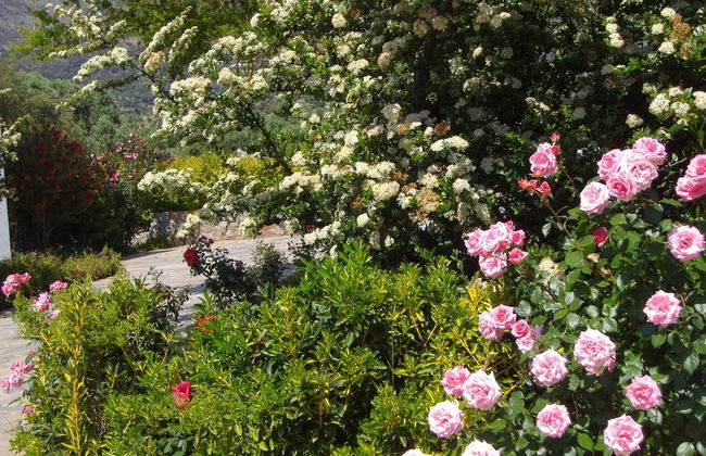 Villa in Lefkogia With Private Pool - Foto 25