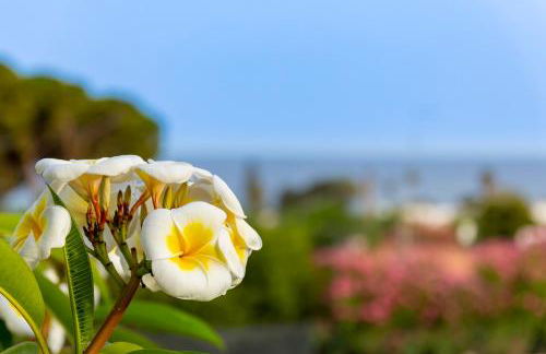 Nice to stay - Foto 22