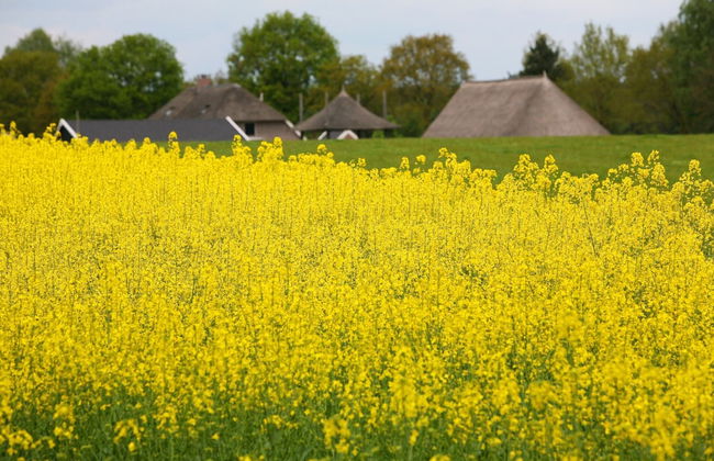 Cozy Countryside Escape in Dalfsen - Photo 34