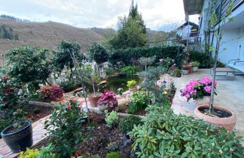 Pension mit Moselblick - Foto 75