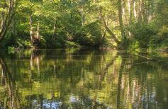 Apartamenty przy Obrze - Foto 13