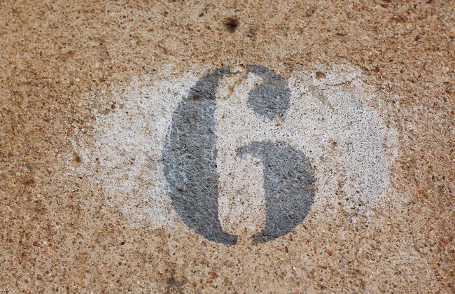 La Grulla Dorada - Foto 60