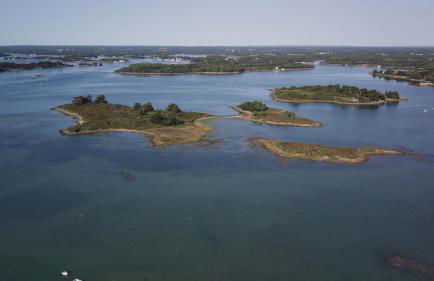 Pierre et mer au cœur de Saint Cado - Foto 29
