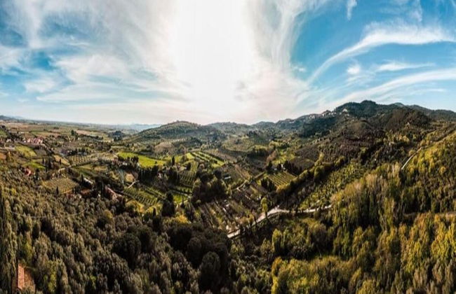 Farmhouse in Suvereto With Sea Views - Foto 43