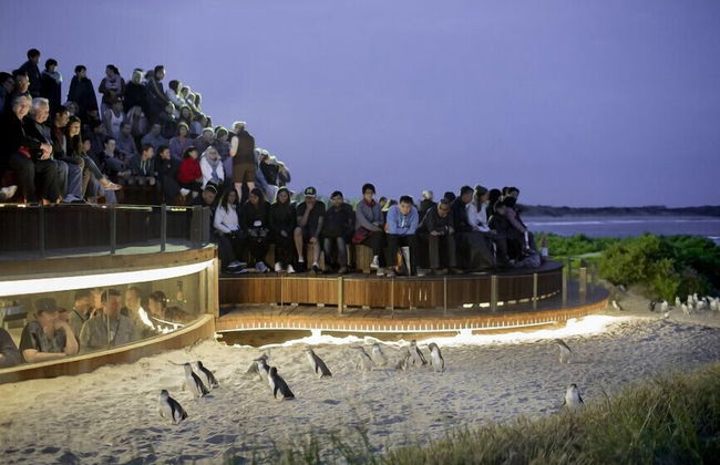 Phillip Island Towers - Photo 41