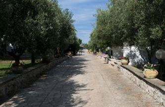 Residence Conchiglia San Giovanni - Foto 14