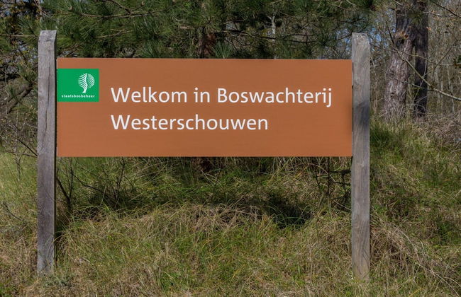 Holiday Home in Renesse Near the Beach - Photo 28