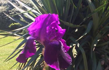 Maison bretonne proche mer - Photo 55