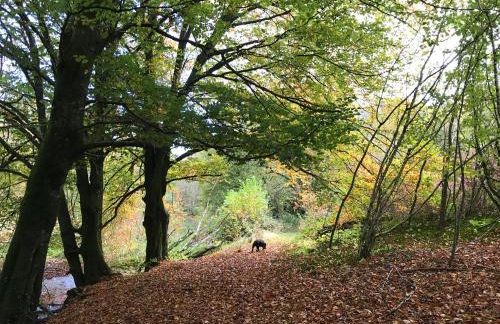 Quiet, Countryside Retreat, Spreacombe Gardens near Woolacombe - Foto 11