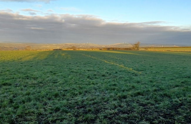 Relax With Amazing Views! 1-bed Studio in Tegryn - Foto 24