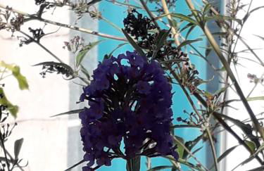 Brig'Gîte - Photo 48