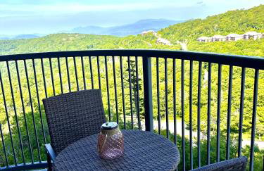 On top of the world at Sugar Top Resort - Foto 12