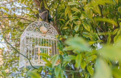 Porto Island - Foto 52