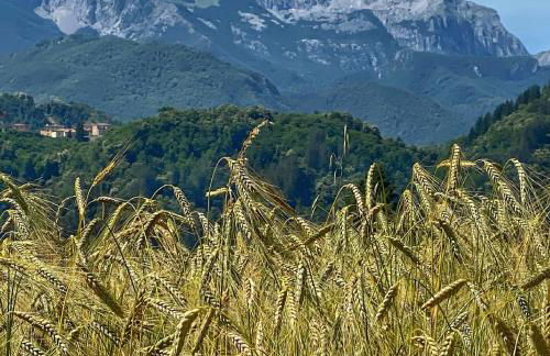 La Locanda del Moro - Foto 80