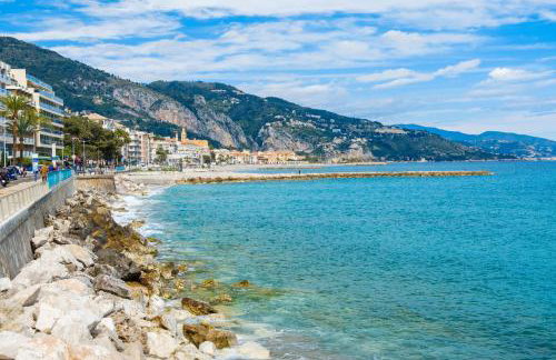 LA GRANDE BLEUE, Magnifique T2 climatisé, proche de la mer - Foto 21