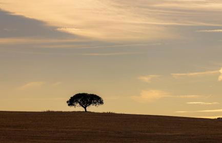 Vagar do Pastor - Foto 51