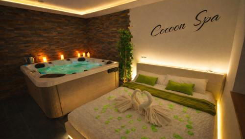 COCOON SPA-4 Pers-Jacuzzi-Parking-Jardin-Clim-Colmar - Foto 2
