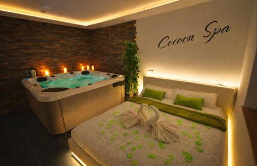 COCOON SPA-4 Pers-Jacuzzi-Parking-Jardin-Clim-Colmar - Foto 2