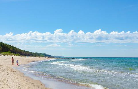 Morska Lilia - Foto 12