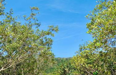 POUSADA AZALÉIAS - Photo 54