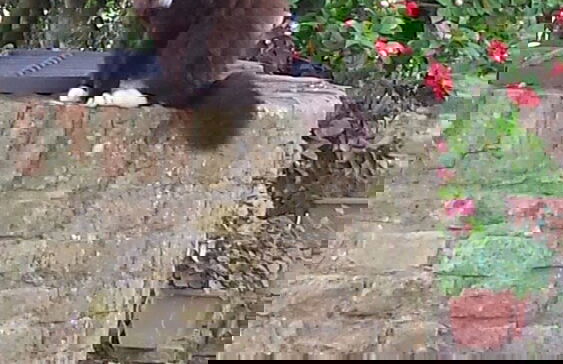 Agriturismo il Poggiarello - Photo 47