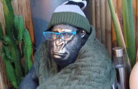 Les jardins de Diana - Foto 32