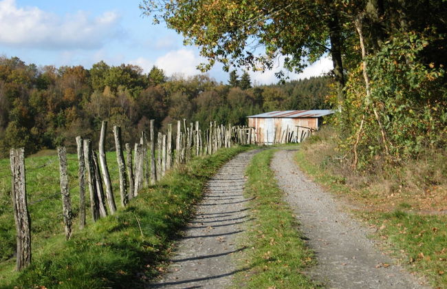 Holiday Home in Bastogne With Sauna & Bubble Bath - Photo 23