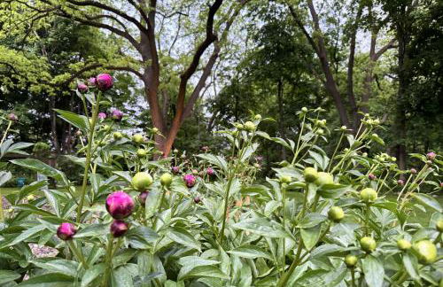 Large, Comfortable & Conveniently located Home - Foto 52