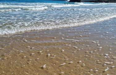 El Tejo, Luminoso y acogedor apartamento - Foto 34