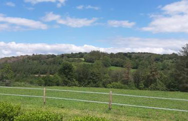 Gîte de Bealieu - Photo 15