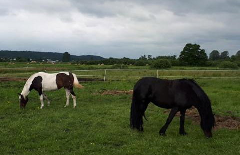 Prywatnie nad morzem - Foto 34