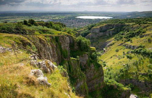 Kingsley Paddocks - Foto 41