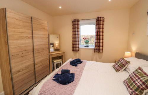 Red Squirrel - Foto 17