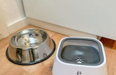 2-Zimmer Apartment 52 qm bis zu 4 Personen - Foto 28