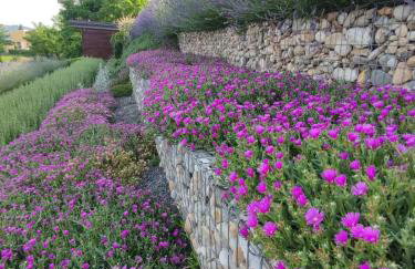 HillTop House - Foto 6