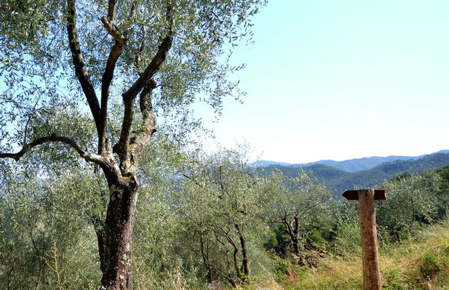 Belvilla by OYO Angie - Foto 18