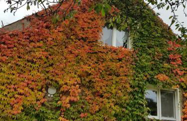Ferienwohnung Wolf - Foto 3