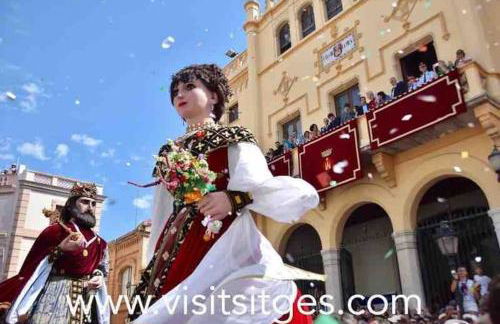 Exclusiva Villa de Lujo con piscina - Foto 64