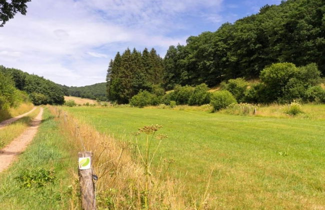 Hillside Haven in Waxweiler - Photo 35