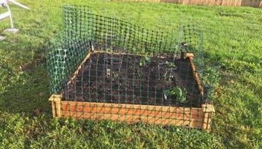 Tiny Home Baby Friendly - Foto 5