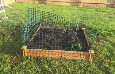 Tiny Home Baby Friendly - Foto 5