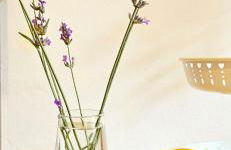 Baciati dal Sole-Self check-in - Photo 9