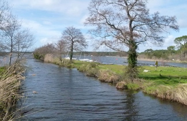 Les Calicots Sanguinet - Photo 34