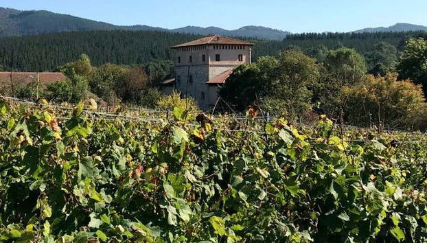 Visita guiada por la Torre de Murga - Photo 3