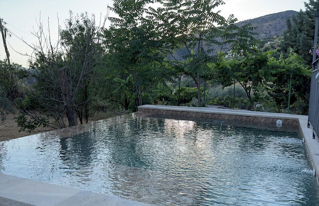 Finca Las Fuentezuelas - Photo 36